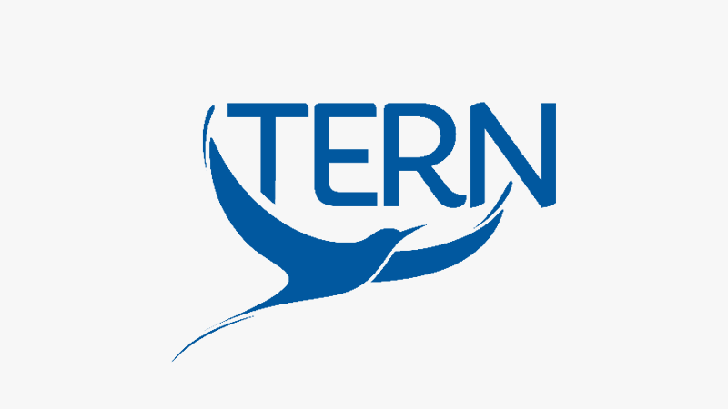 tern logo